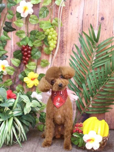 20230813カイくん